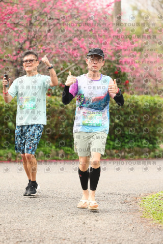 2026左岸竹東櫻花馬拉松Zhudong Sakura Marathon