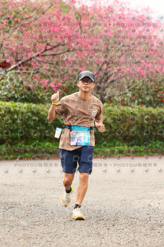 2026左岸竹東櫻花馬拉松Zhudong Sakura Marathon