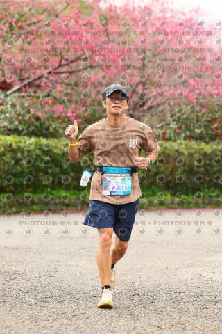 2026左岸竹東櫻花馬拉松Zhudong Sakura Marathon