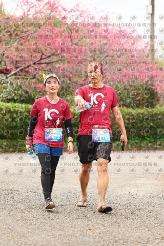 2026左岸竹東櫻花馬拉松Zhudong Sakura Marathon