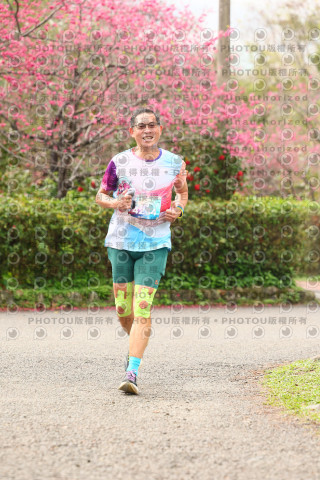2026左岸竹東櫻花馬拉松Zhudong Sakura Marathon