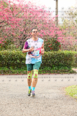 2026左岸竹東櫻花馬拉松Zhudong Sakura Marathon