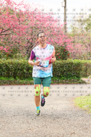 2026左岸竹東櫻花馬拉松Zhudong Sakura Marathon