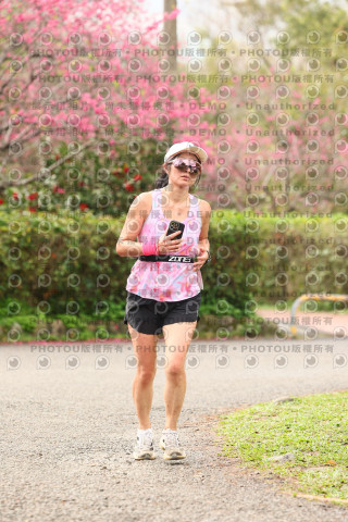 2026左岸竹東櫻花馬拉松Zhudong Sakura Marathon