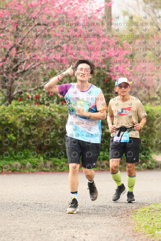 2026左岸竹東櫻花馬拉松Zhudong Sakura Marathon