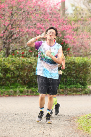 2026左岸竹東櫻花馬拉松Zhudong Sakura Marathon