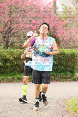 2026左岸竹東櫻花馬拉松Zhudong Sakura Marathon