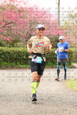 2026左岸竹東櫻花馬拉松Zhudong Sakura Marathon