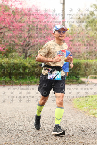 2026左岸竹東櫻花馬拉松Zhudong Sakura Marathon