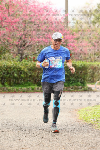 2026左岸竹東櫻花馬拉松Zhudong Sakura Marathon