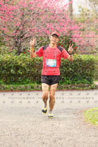2026左岸竹東櫻花馬拉松Zhudong Sakura Marathon