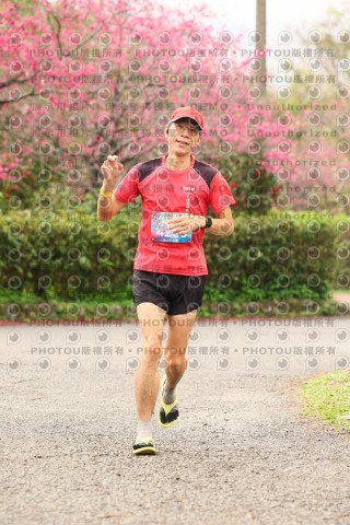 2026左岸竹東櫻花馬拉松Zhudong Sakura Marathon