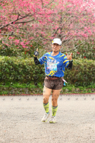 2026左岸竹東櫻花馬拉松Zhudong Sakura Marathon