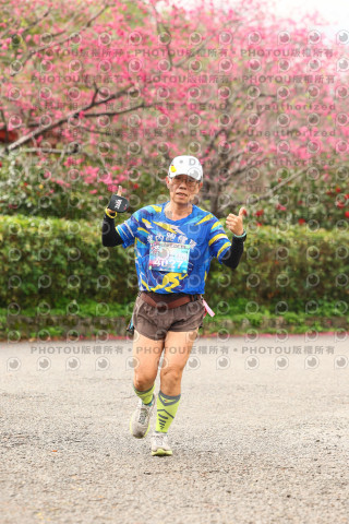 2026左岸竹東櫻花馬拉松Zhudong Sakura Marathon