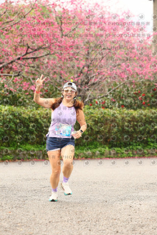 2026左岸竹東櫻花馬拉松Zhudong Sakura Marathon