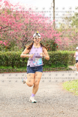 2026左岸竹東櫻花馬拉松Zhudong Sakura Marathon