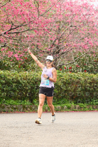 2026左岸竹東櫻花馬拉松Zhudong Sakura Marathon