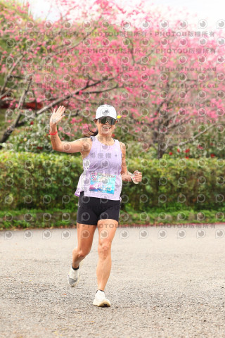 2026左岸竹東櫻花馬拉松Zhudong Sakura Marathon