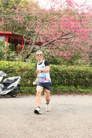 2026左岸竹東櫻花馬拉松Zhudong Sakura Marathon