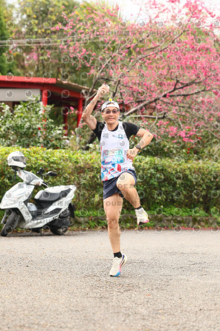 2026左岸竹東櫻花馬拉松Zhudong Sakura Marathon