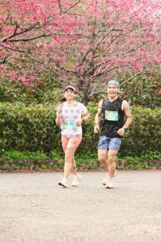 2026左岸竹東櫻花馬拉松Zhudong Sakura Marathon