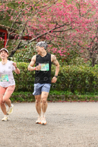 2026左岸竹東櫻花馬拉松Zhudong Sakura Marathon