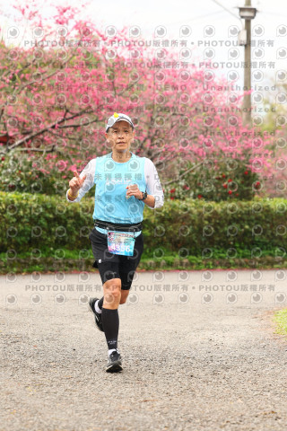 2026左岸竹東櫻花馬拉松Zhudong Sakura Marathon
