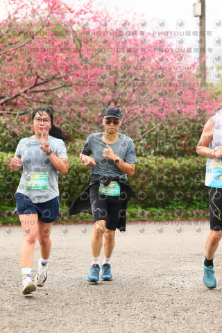 2026左岸竹東櫻花馬拉松Zhudong Sakura Marathon