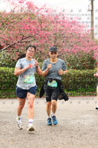 2026左岸竹東櫻花馬拉松Zhudong Sakura Marathon