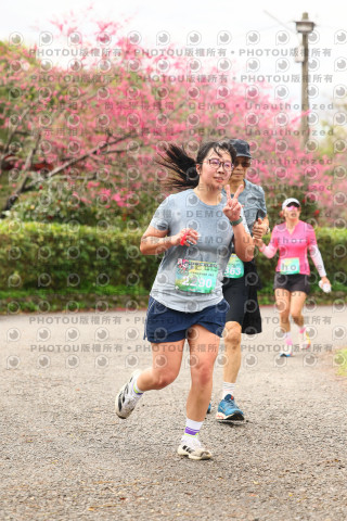2026左岸竹東櫻花馬拉松Zhudong Sakura Marathon