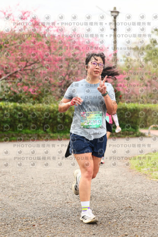2026左岸竹東櫻花馬拉松Zhudong Sakura Marathon
