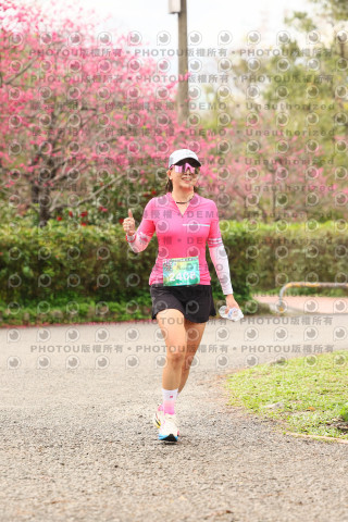 2026左岸竹東櫻花馬拉松Zhudong Sakura Marathon