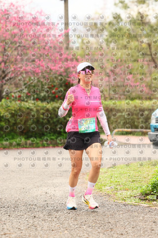2026左岸竹東櫻花馬拉松Zhudong Sakura Marathon