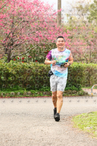 2026左岸竹東櫻花馬拉松Zhudong Sakura Marathon