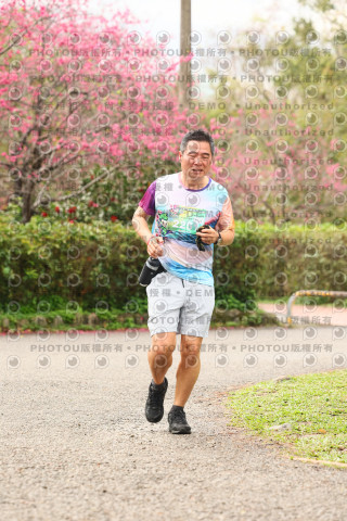 2026左岸竹東櫻花馬拉松Zhudong Sakura Marathon