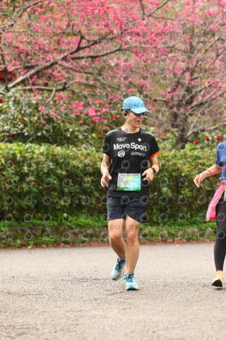 2026左岸竹東櫻花馬拉松Zhudong Sakura Marathon
