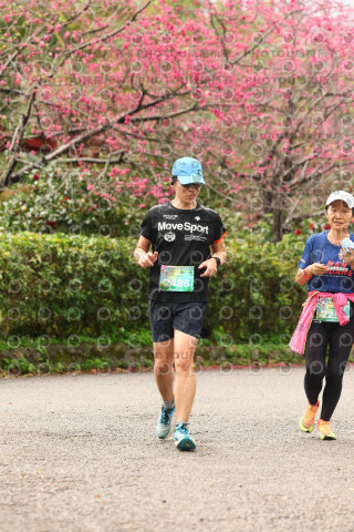2026左岸竹東櫻花馬拉松Zhudong Sakura Marathon