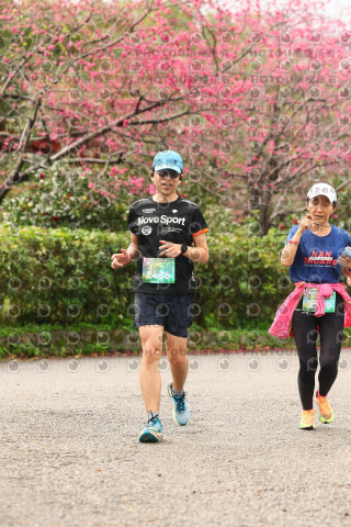 2026左岸竹東櫻花馬拉松Zhudong Sakura Marathon