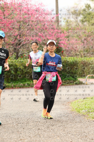 2026左岸竹東櫻花馬拉松Zhudong Sakura Marathon