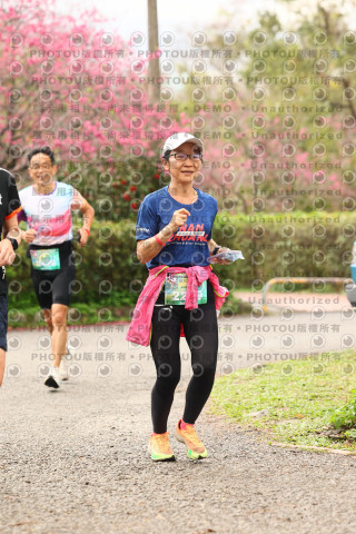 2026左岸竹東櫻花馬拉松Zhudong Sakura Marathon
