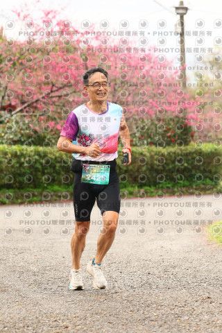 2026左岸竹東櫻花馬拉松Zhudong Sakura Marathon