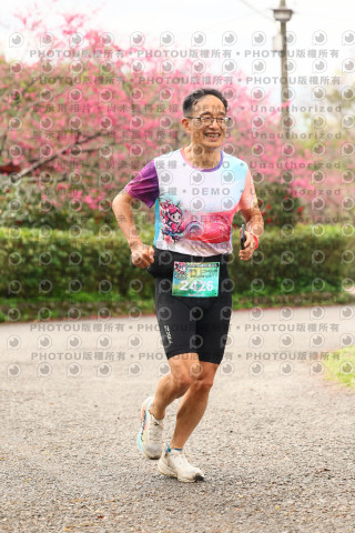 2026左岸竹東櫻花馬拉松Zhudong Sakura Marathon