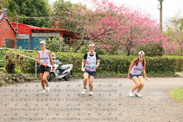2026左岸竹東櫻花馬拉松Zhudong Sakura Marathon