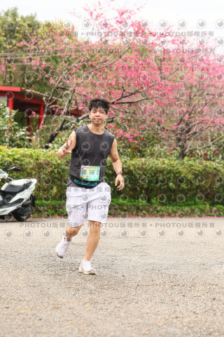 2026左岸竹東櫻花馬拉松Zhudong Sakura Marathon