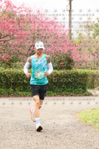 2026左岸竹東櫻花馬拉松Zhudong Sakura Marathon