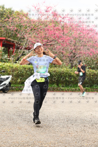 2026左岸竹東櫻花馬拉松Zhudong Sakura Marathon