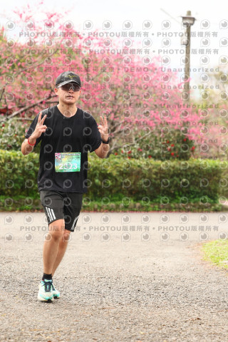 2026左岸竹東櫻花馬拉松Zhudong Sakura Marathon