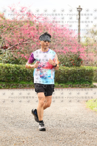2026左岸竹東櫻花馬拉松Zhudong Sakura Marathon