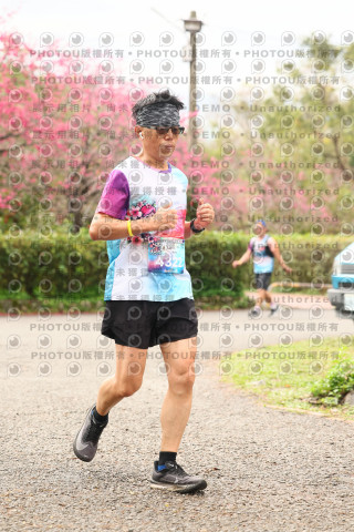 2026左岸竹東櫻花馬拉松Zhudong Sakura Marathon