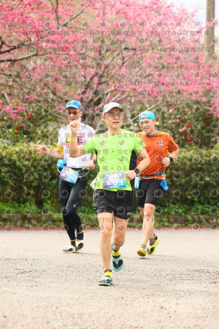 2026左岸竹東櫻花馬拉松Zhudong Sakura Marathon